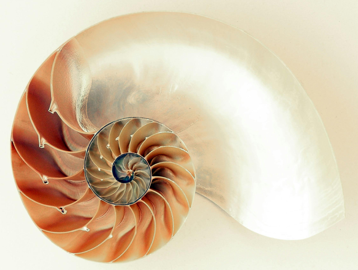 Composizione numerologica 111 in verde e oro, simbolo del Sentiero dei Numeri